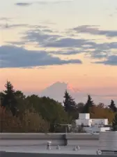 Gorgeous sunset glow highlighting Mount Rainier, providing an unbeatable natural backdrop.