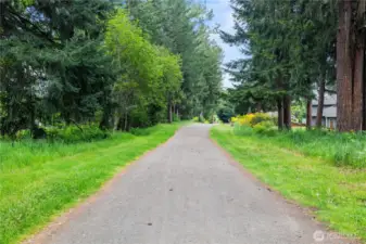 Trail Systems