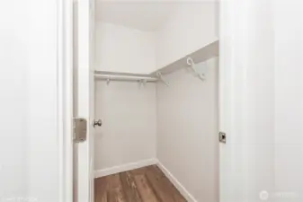 The primary suite features a large walk-in closet, providing ample space to organize your wardrobe with ease and style.