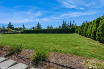 Surround yourself with lush greenery in the outdoor common area—a peaceful retreat to relax and connect.