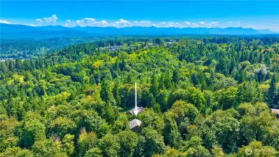 Literally in teh woos with greenbelt & DNR land surrounding the property!