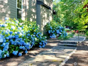 Side walkway features seasonal flowers, so lovely!