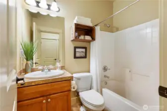 Lower level Bathroom