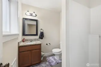 Lower level primary bathroom