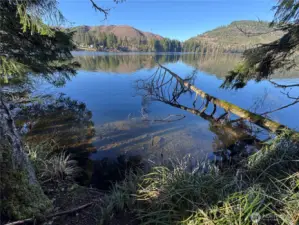 Look how clear the water is!