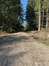 Gravel road on property