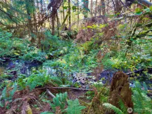 Round Top Creek runs thru this property, South side.