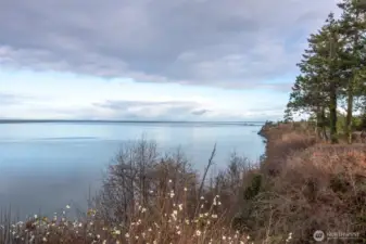 Community Waterfront Lot