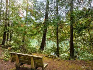 Bench at the   view area