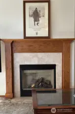 Gas Fireplace