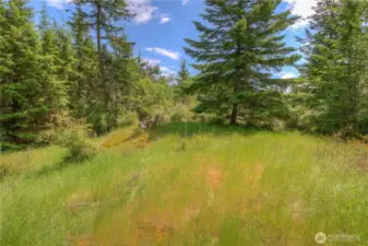 This bright, sun-filled lot has an an approved building permit through San Juan County. Power, water, septic all paid for and tied in. Fiber ready to be pulled.