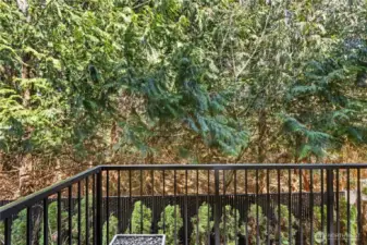 End the day with a drink on the quiet back deck and watch the wildlife go by.