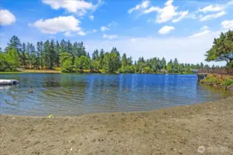 View of the beach area