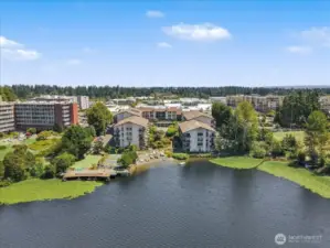 Drone view from lake to property