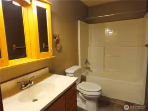 Large Main bath with custom cabinets and tub/shower enclosure