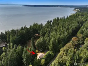 Welcome to Whidbey! Welcome Home!