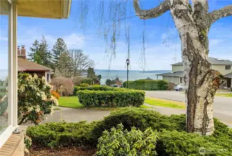 View from the front porch