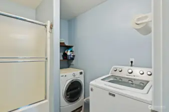 Downstairs Bathroom with Laundry