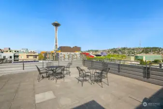 The building enjoys three rooftop deck areas with bbg's and beautiful views  Facing west the Space Needle in full splendor - Queen Anne hill to the right.