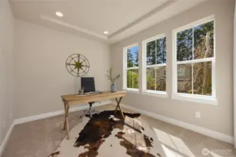 Moving back downstairs to the main floor bedroom or home office. There is great light in this room.