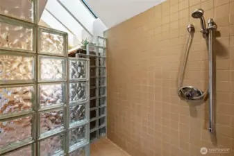 Primary Shower