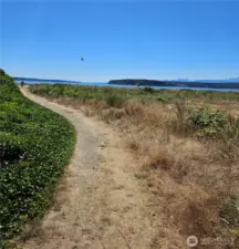 Path to beach