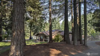 Clubhouse