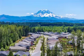 Mounta Rainier view right out side your front door.