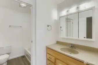 Primary Bath