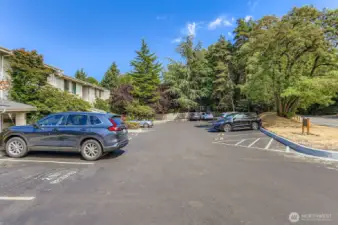 Newly Refinished Parking