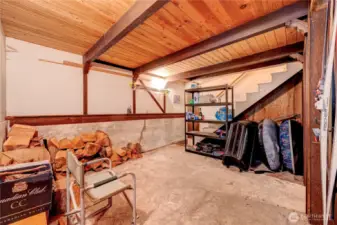 Lower level with stairs to main level