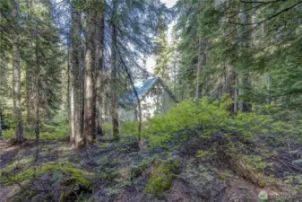 view from property behind cabin