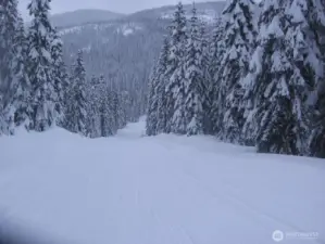 Epic sledding run across the street from cabin