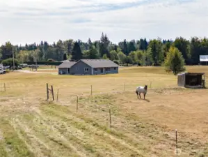 Several pasture areas perfect for rotational grazing.