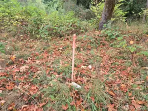Estimated location of South property line