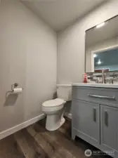 Down Stairs Guest Bath