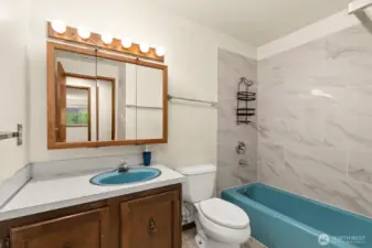 Hall Bathroom - tub surround recently updated.