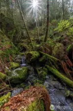 Waterfall on property.