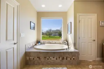Primary Bathroom Soaking Tub