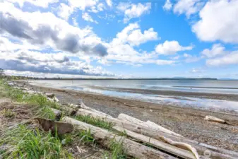 Cottonwood Beach