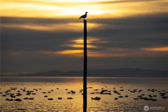 Evening Sunset