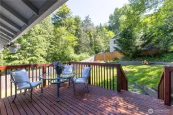 Newly Finished Deck in backyard