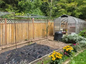 Garden area and well-made greenhouse.