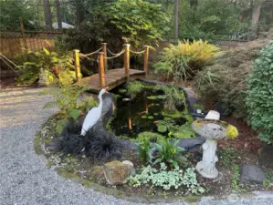 Koi Pond.