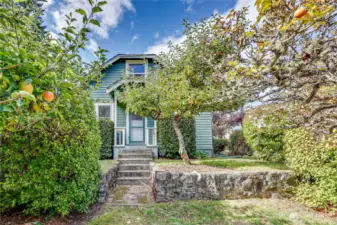 Super cute cottage vibe with the best apple trees.