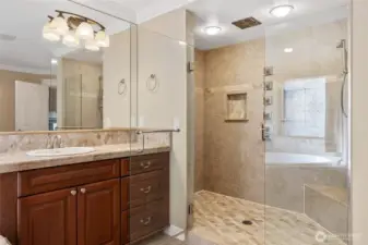 Master Bathroom Shower