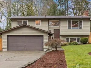 Welcome home. Set above the street with a gently sloping lawn and surrounded by mature trees, the home feels peaceful, private, and quietly inviting.