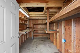 Outdoor shed with electricity