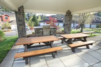 BBQ/Picnic area.