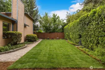 Spacious dog run with new sod. Fully fenced!